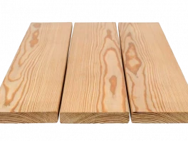 Планкен сорт Прима